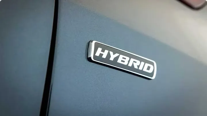 image.imgs.full.high (3)