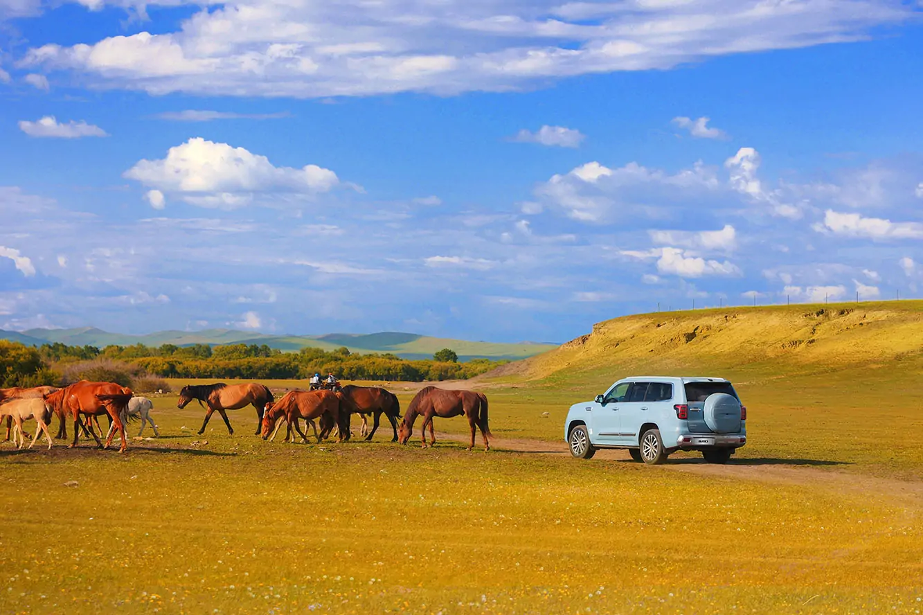 BJ60_BAIC-Argentina-22
